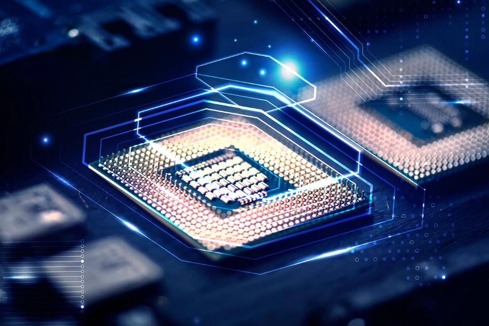 nba黄蜂队改成什么名字了 为什么黄蜂队现在改叫山猫队了